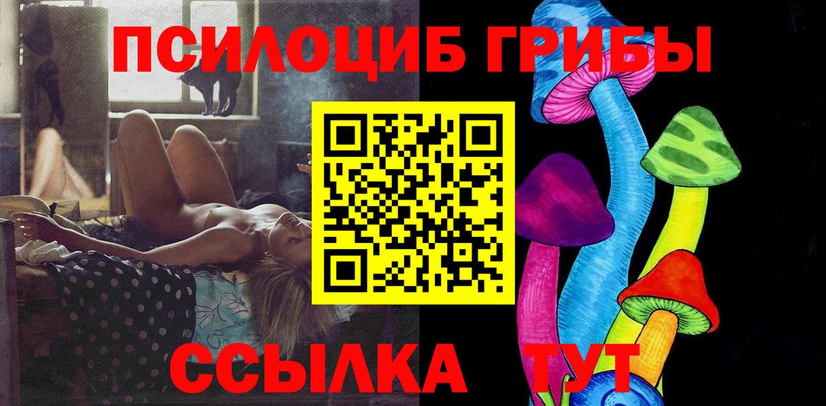 Нерюнгри  Псилоцибиновые грибы MAGIC MUSHROOMS  Вход с VPN 